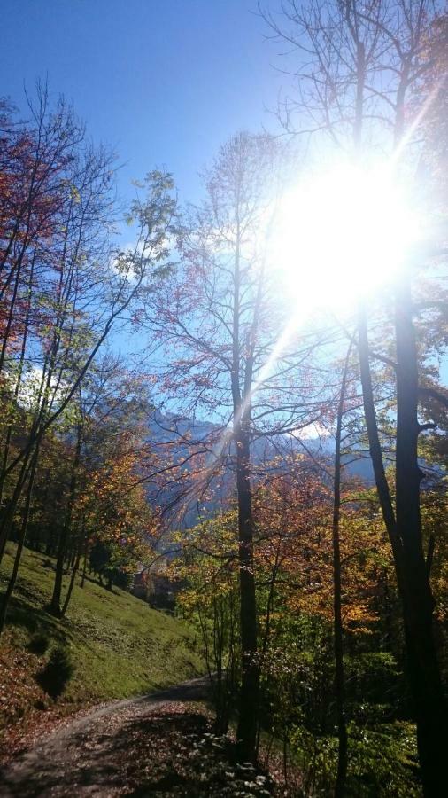 Appartement Ubelher Mellau Dış mekan fotoğraf